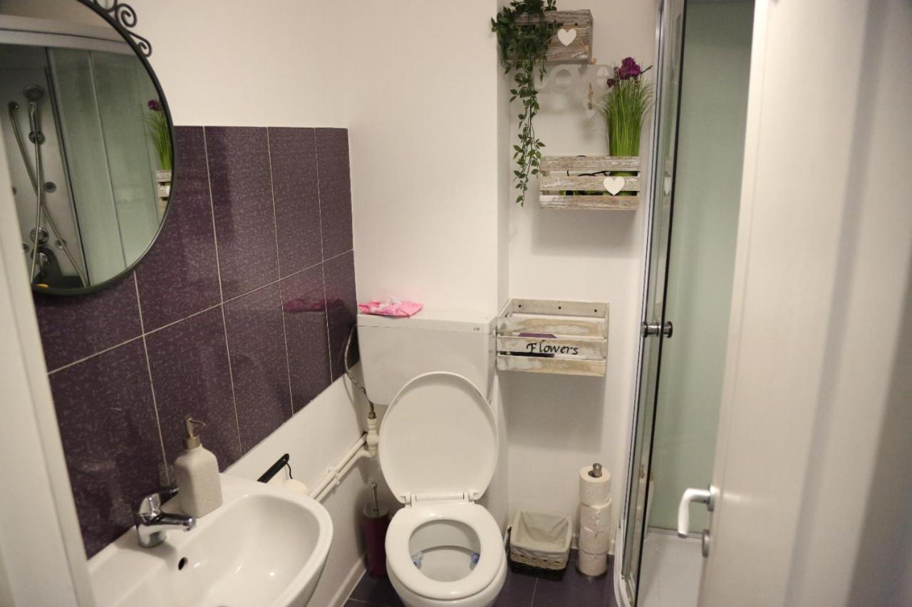 Croma Holiday Petrosani Apartament Zewnętrze zdjęcie